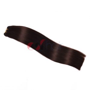 Hair weft #2